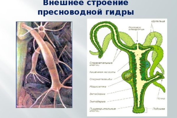 Зайти на кракен