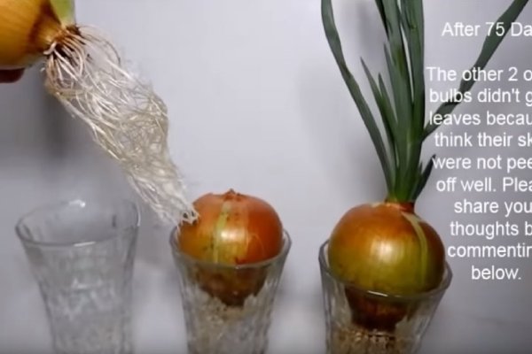 Ссылка на кракен площадка