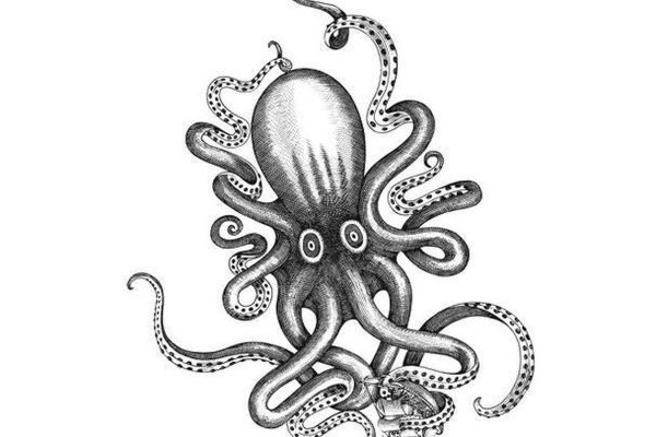 Kraken darknet ссылка тор