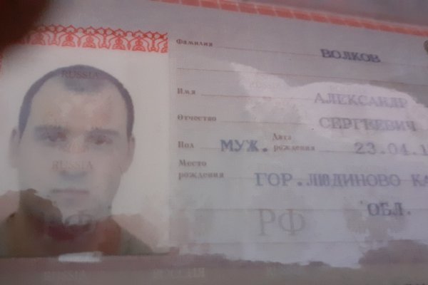 Рабочий кракен
