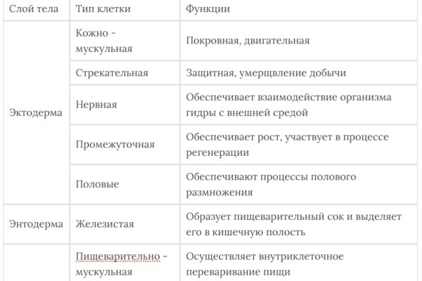 Рабочая ссылка кракен в тор