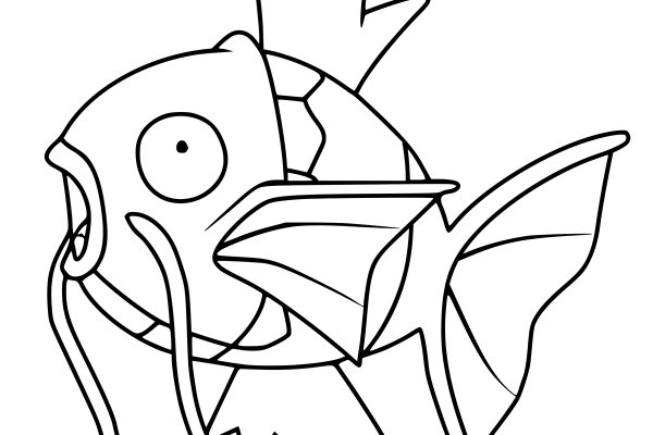 Kraken 11at