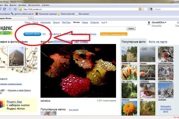 Оригинальная ссылка кракен браузера
