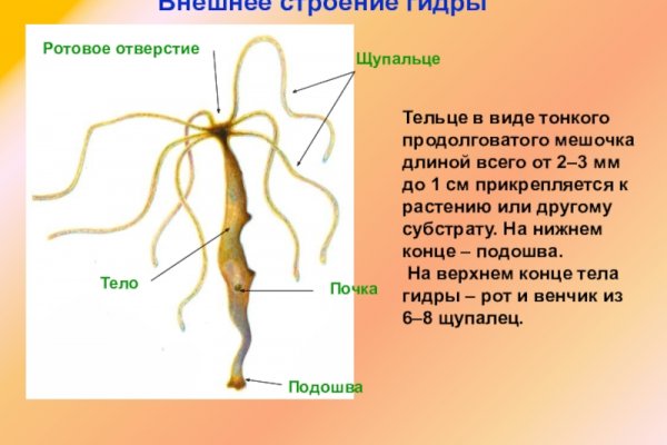 Нарко магазин кракен