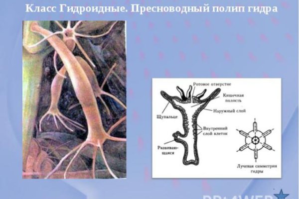 Кракен ссылка замена