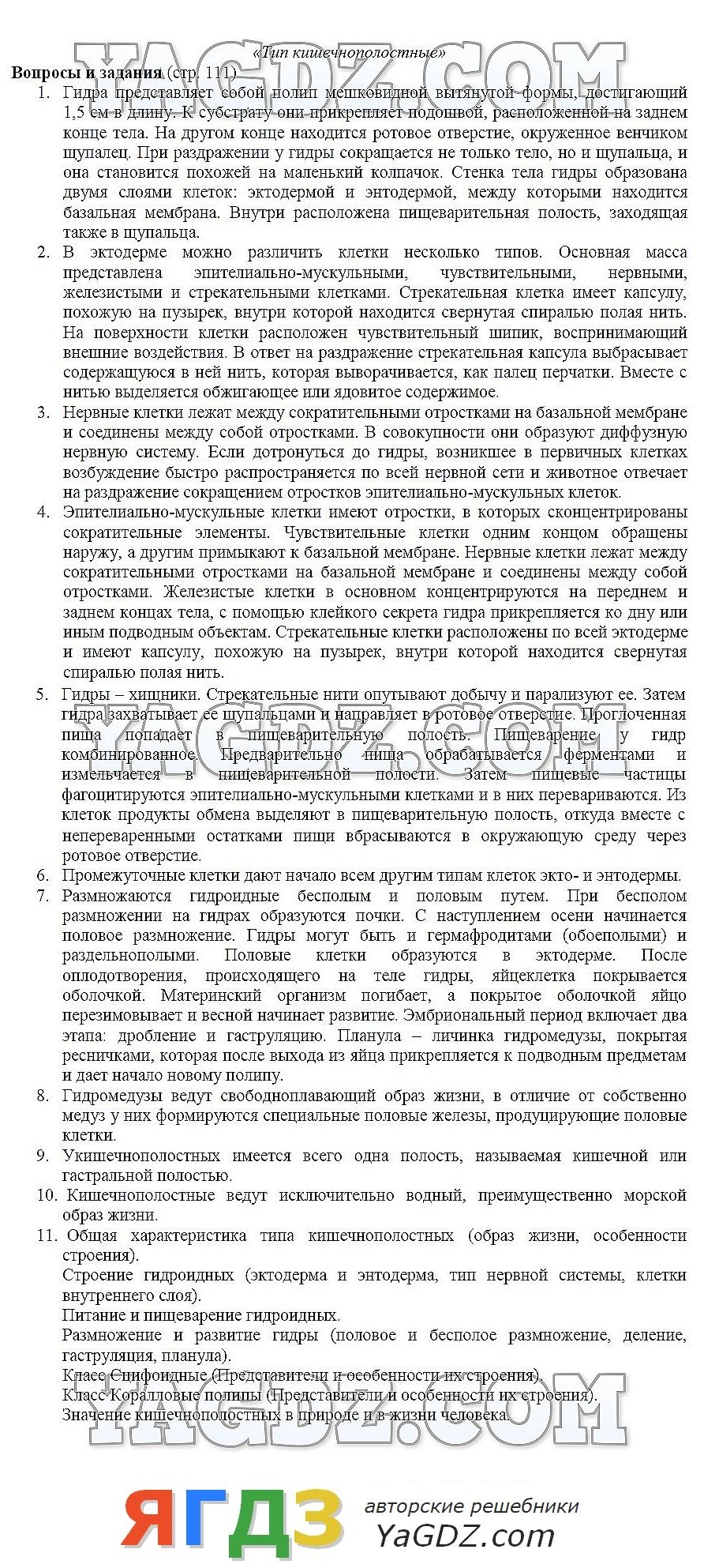 Kra43.at