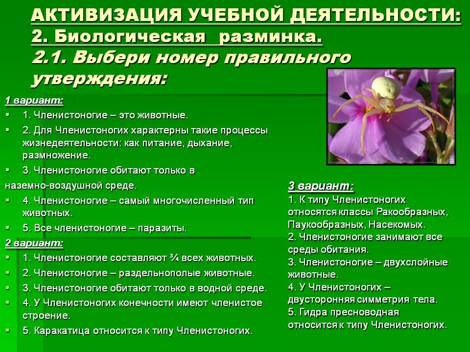 Кракен шоп даркнет